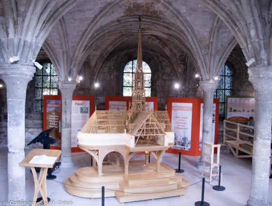 Expo la forêt de Notre-Dame