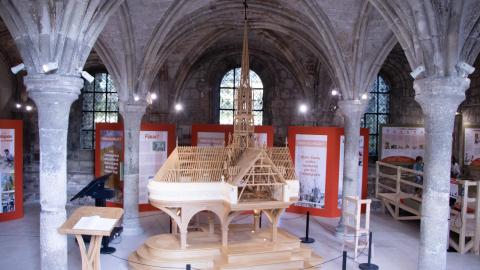 Expo la forêt de Notre-Dame