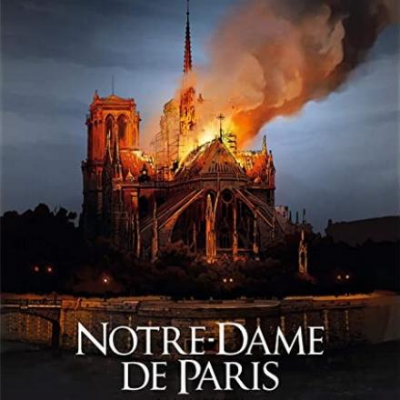 Notre-dame de Paris. La nuit du feu